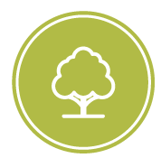 picto arbre
